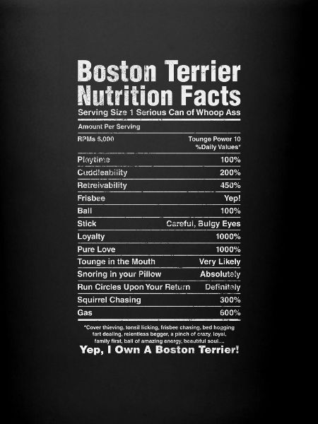 Boston Terrier