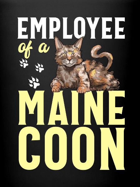 Maine Coon Cat