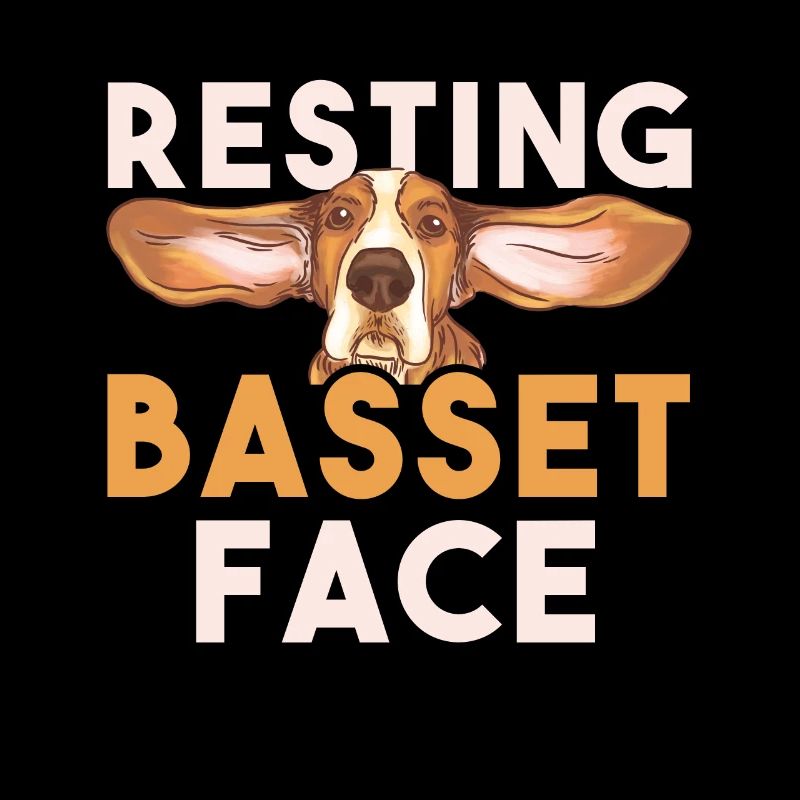 Basset Hound Gift