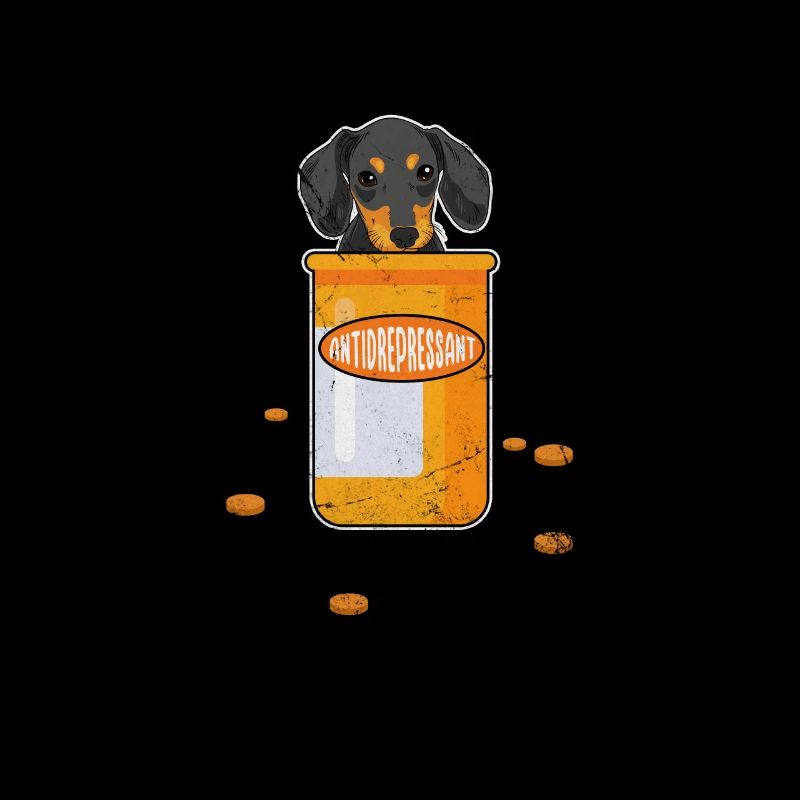 Dachshund