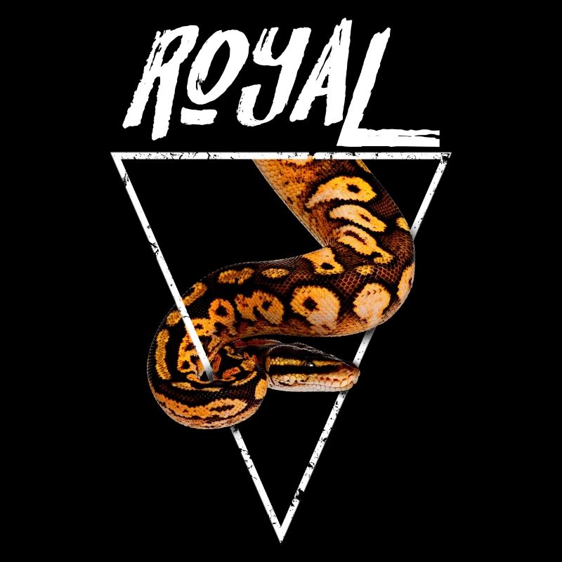 Royal Ball Python Propriétaire