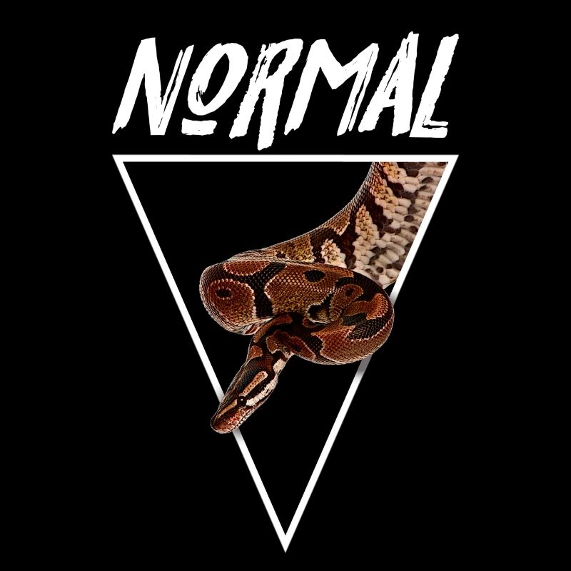 Normal Ball Python Morph Snake Owner