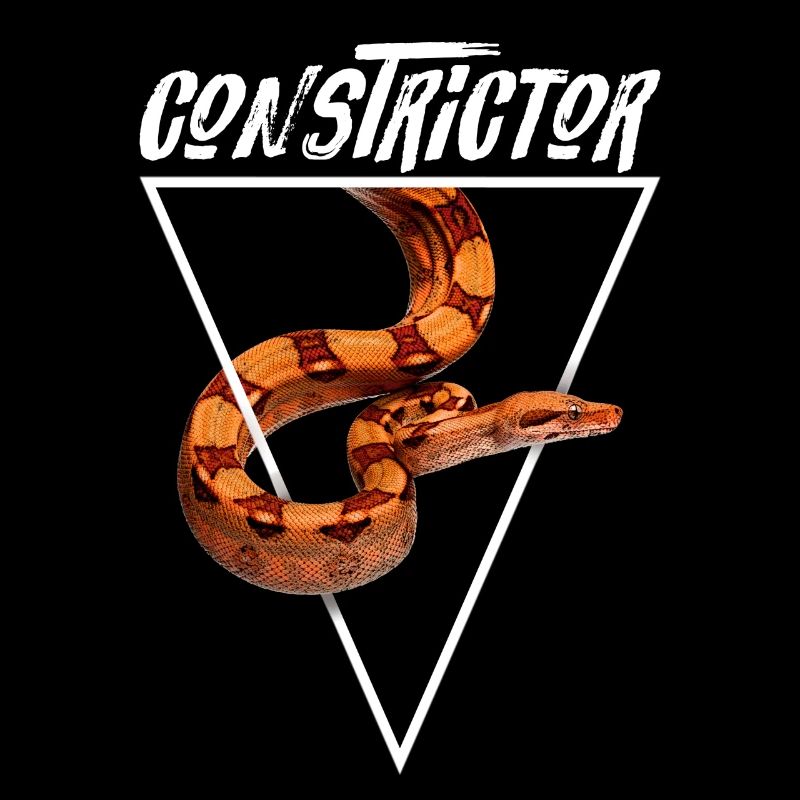 Boa Constrictor Géométrique