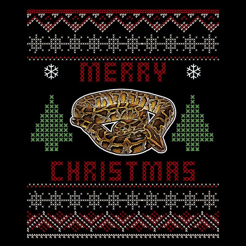 Noël Python birman