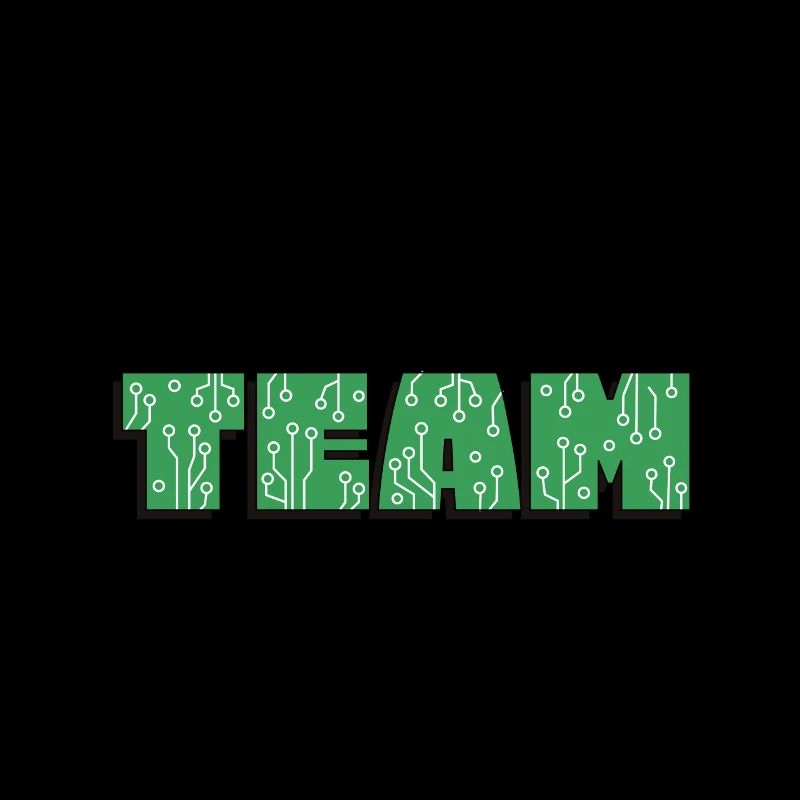 Programmeur - électronique TEAM