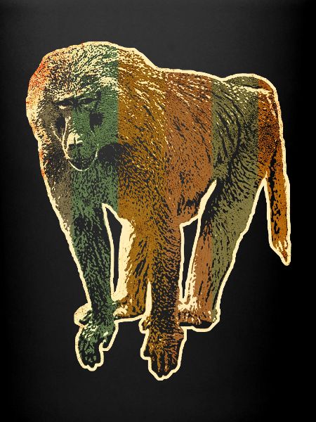 Baboon