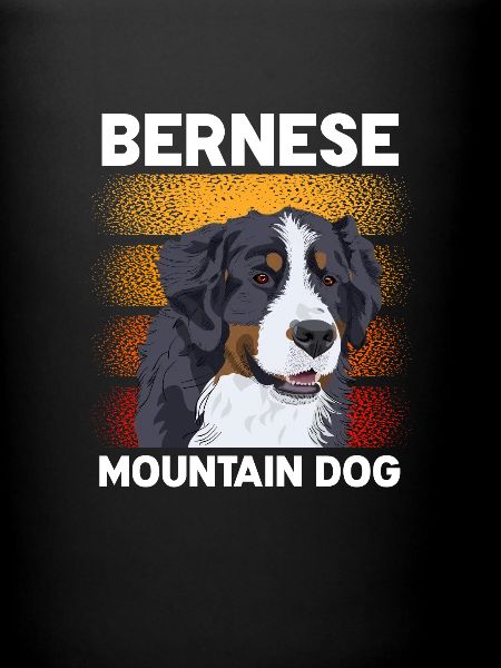 Bouvier bernois