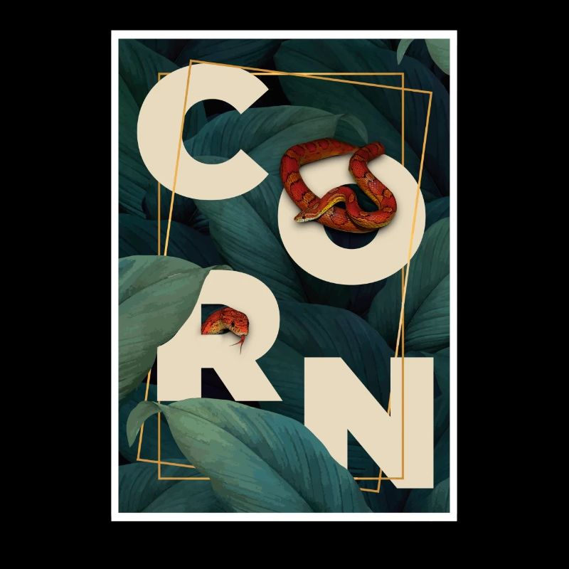 Corn Snake Reptile Keeper Snake