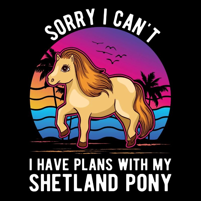 Shetland Pony Shetland Pony Shetty