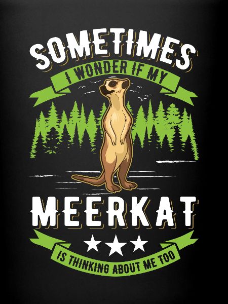 Erdmännchen surikat suricate