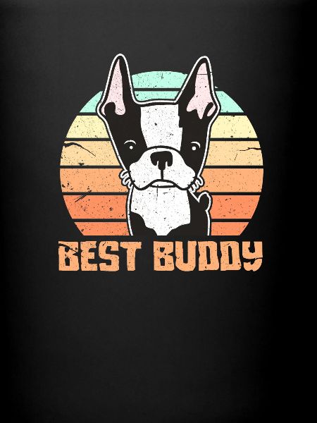 Boston Terrier