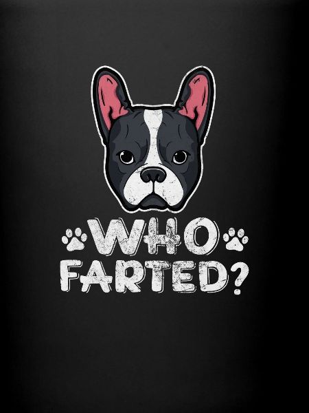 Boston Terrier