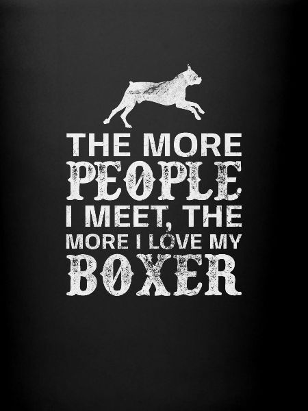 Boxer Dog
