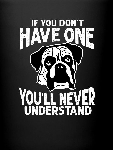 Boxer Dog