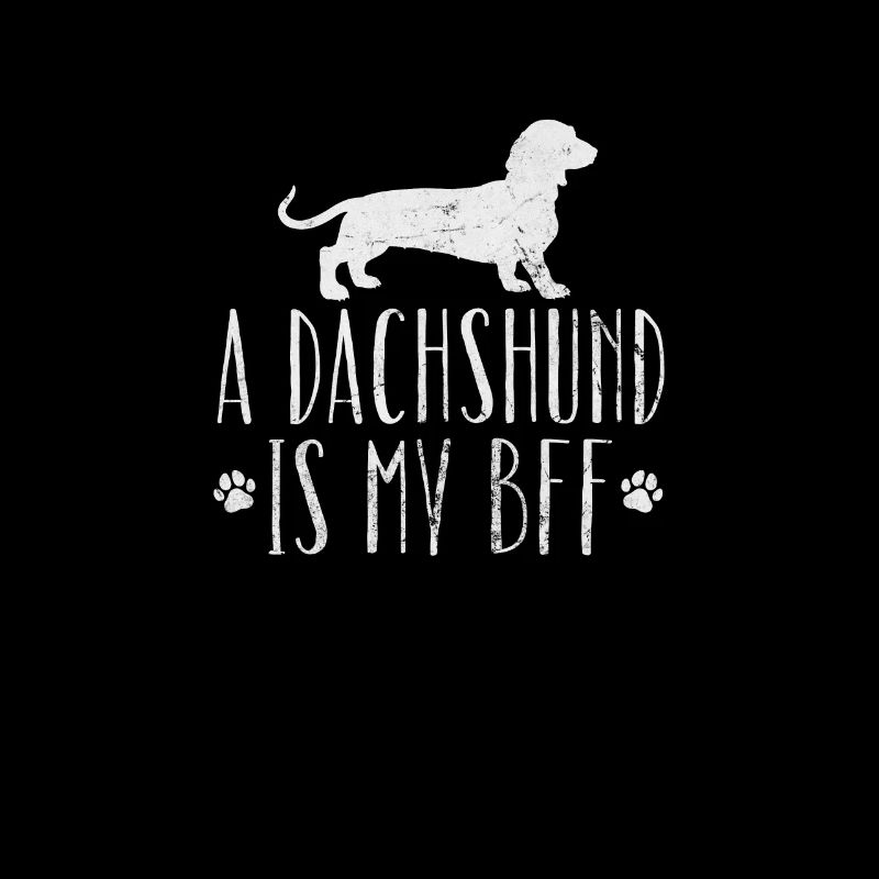 Dachshund