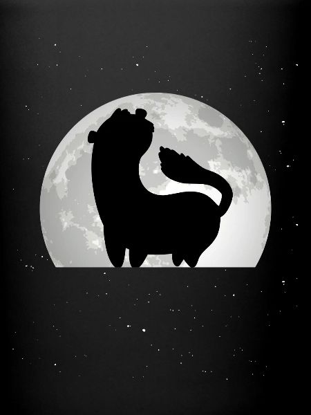 Ferret Moon Ferret Weasel