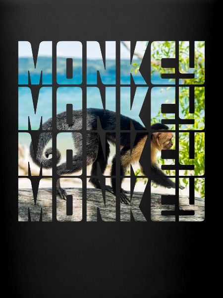 Singe