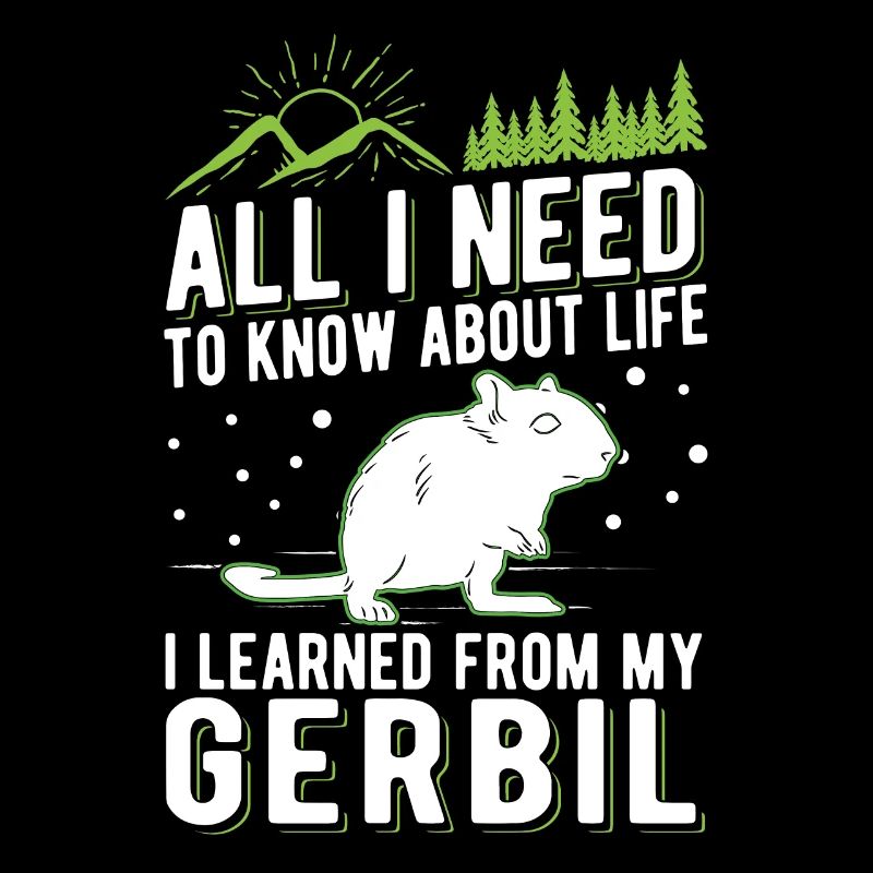 Gerbille Cadeau Rat de course Gerbille