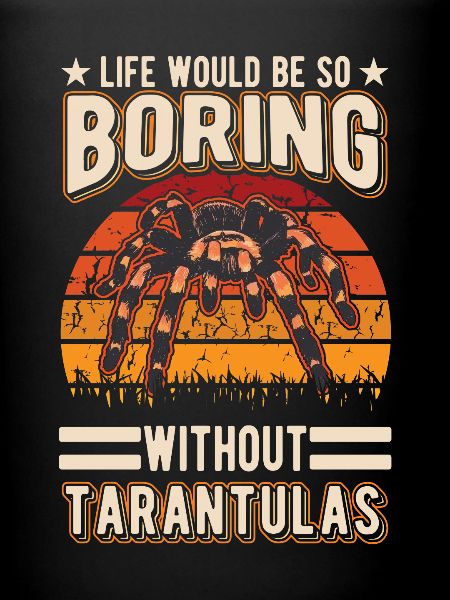 Tarentule Araignée Tarentule