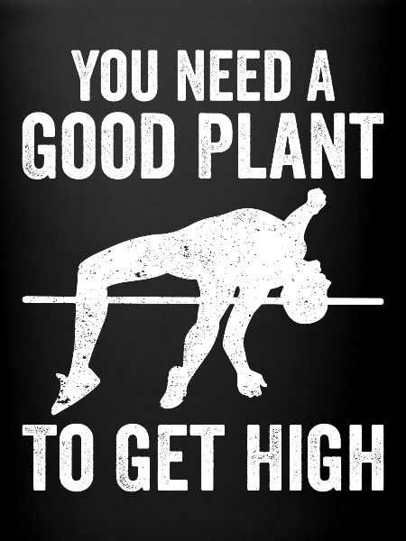 Fun pole vault