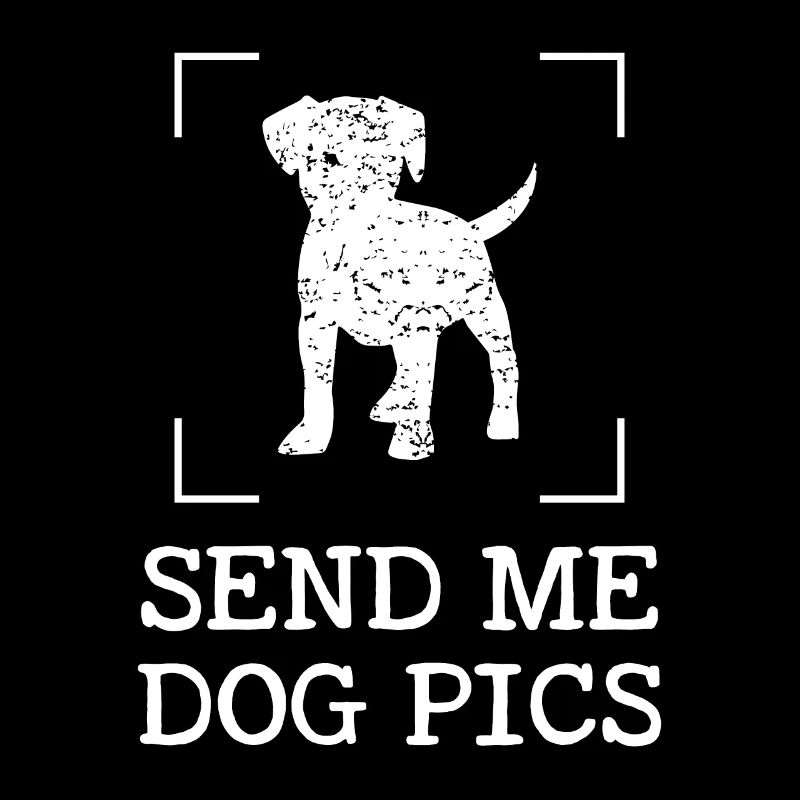 Schick mir Hundebilder