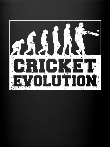 Cricketer Cricket-game Evolution