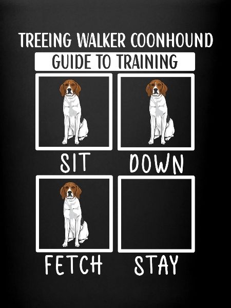 Treeing Walker Coonhound