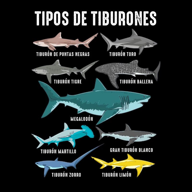 Types de requins Faune marine Océan