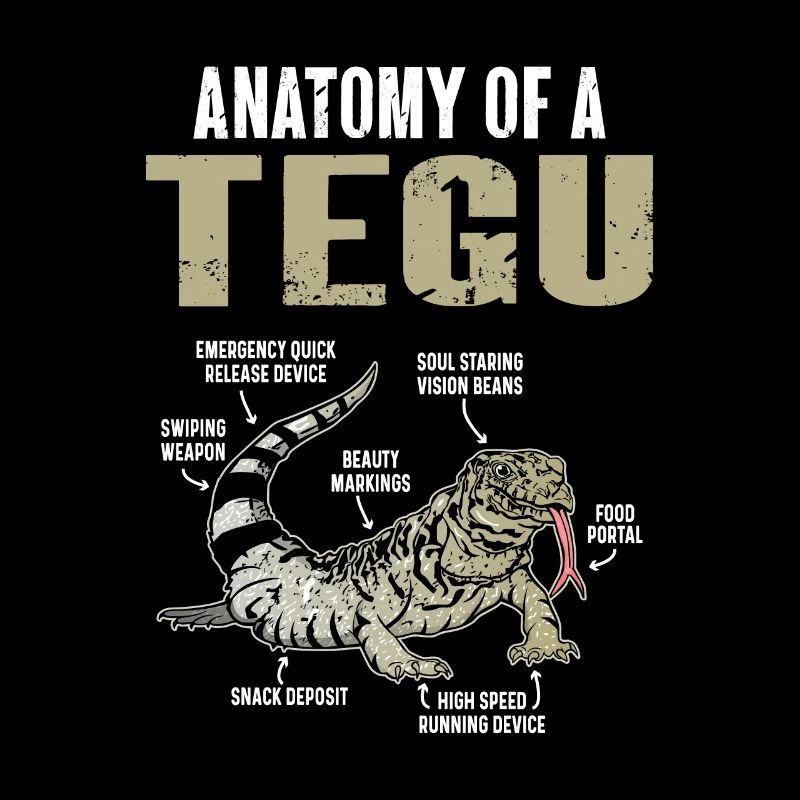 Lézard Tegu Herpétologiste
