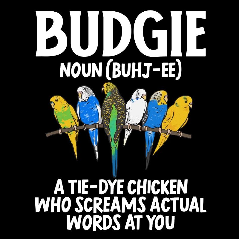 Budgerigar Parakeet Bird Pet Gift
