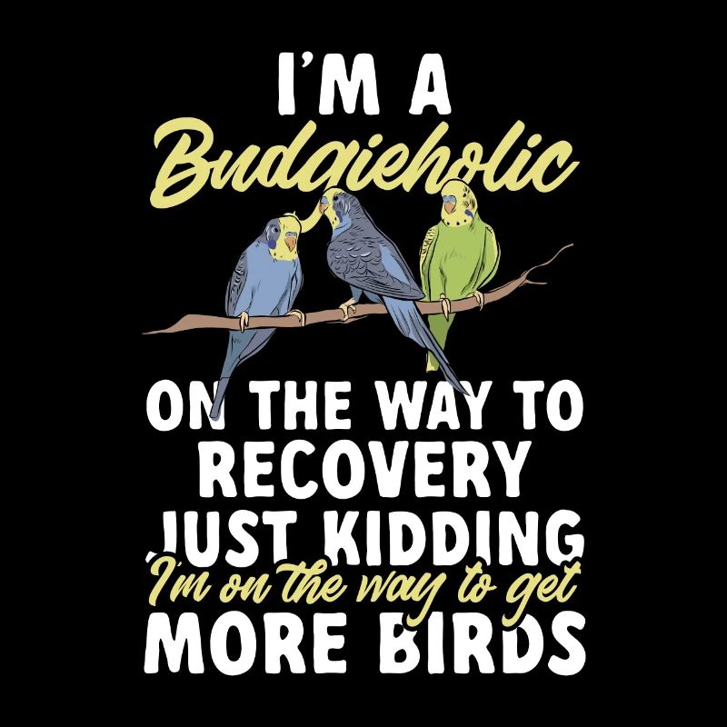 Budgerigar Parakeet Bird Pet Gift