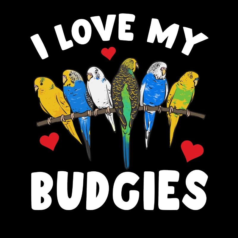Budgerigar Parakeet Bird Pet Gift
