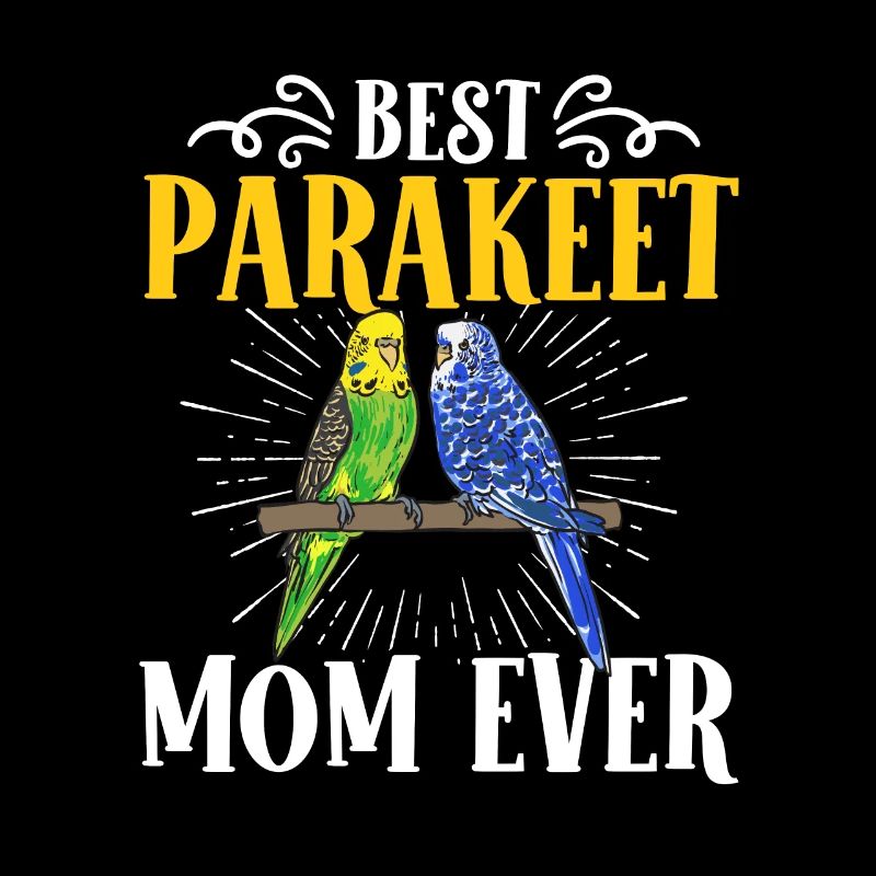 Budgerigar Perruche Oiseau Cadeau pour animaux de compagnie