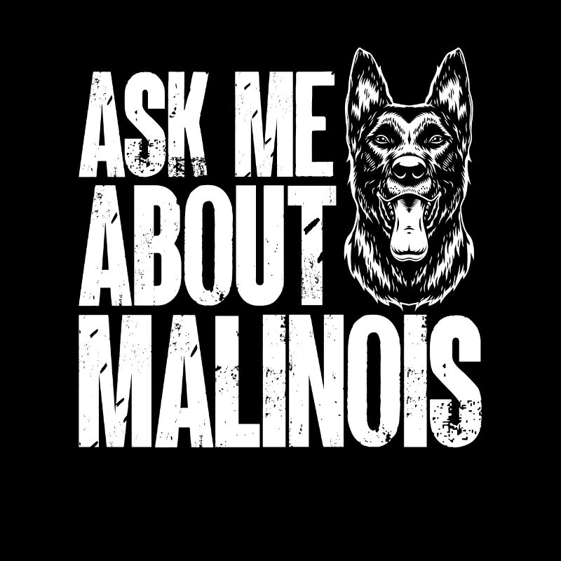 Malinois Belgian Shepherd Mechelaar Dog