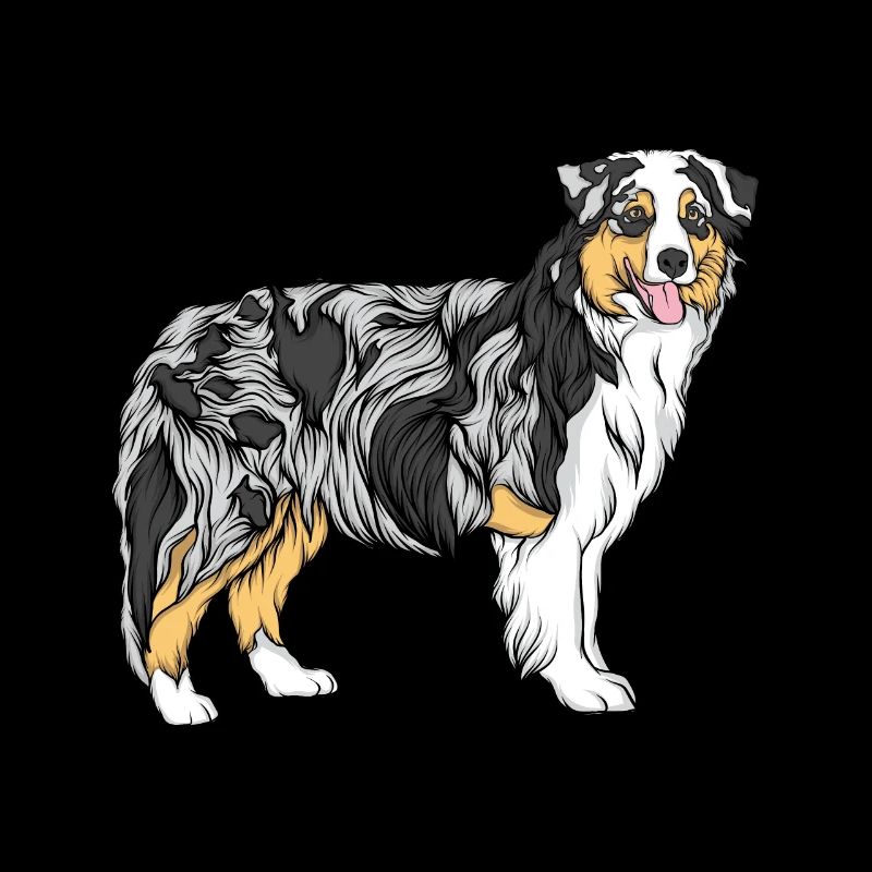 Border collie