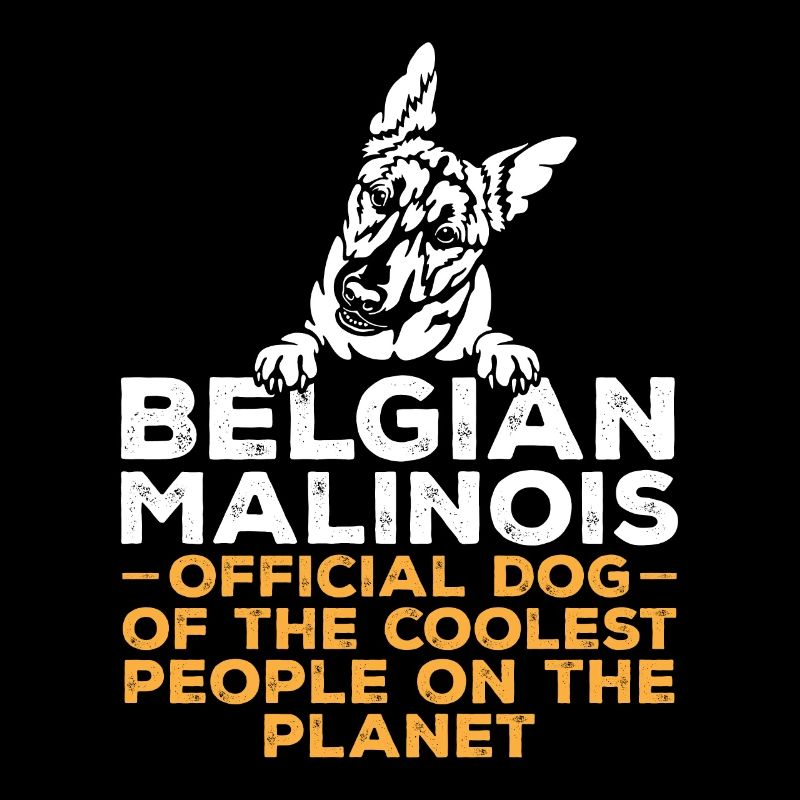 Malinois Belgian Shepherd Mechelaar Dog