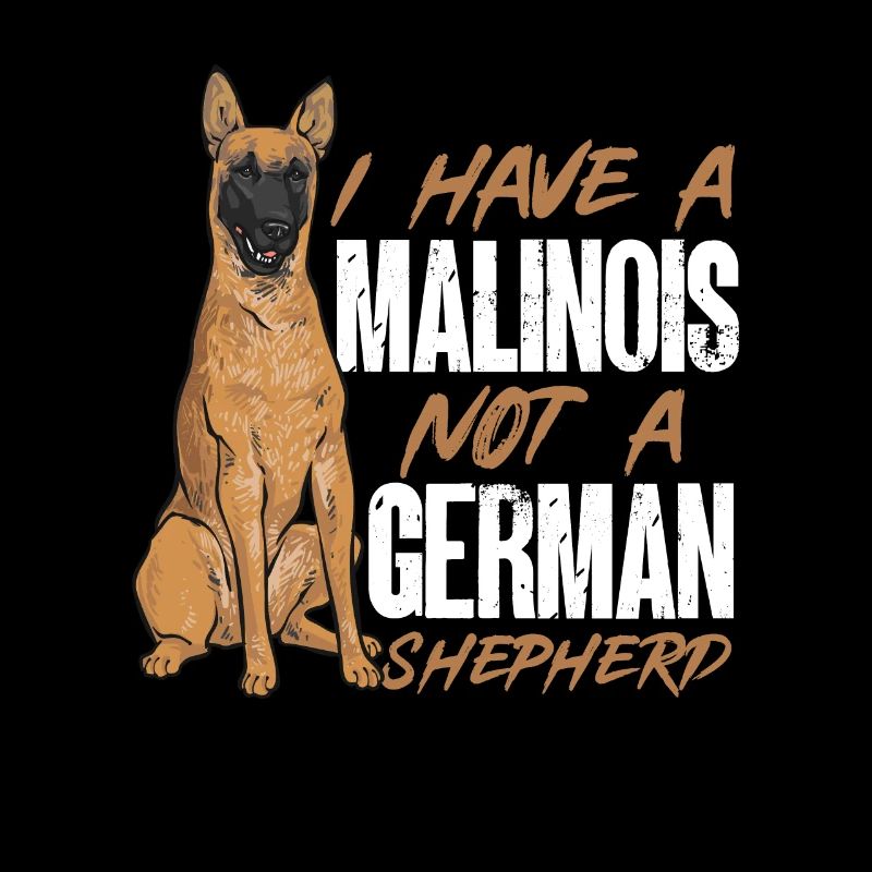 Malinois Belgian Shepherd Mechelaar Dog
