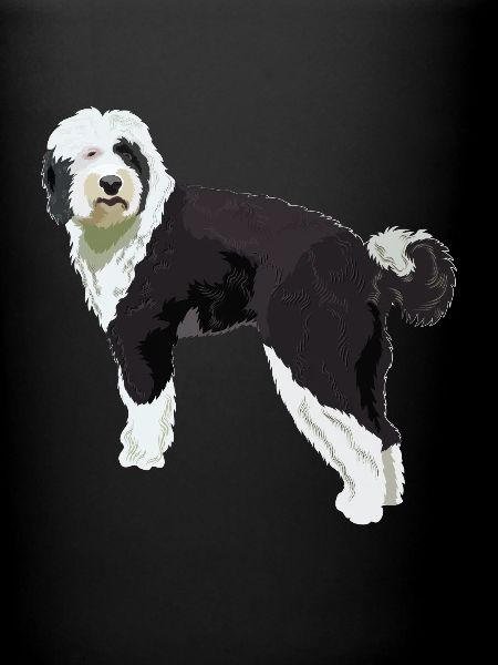 Cadeau de chien Sheepadoodle