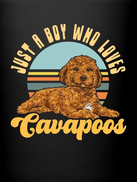 Cavapoo Cavoodle Capoodle Chien
