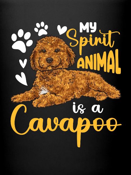 Cavapoo Cavoodle Capoodle Chien