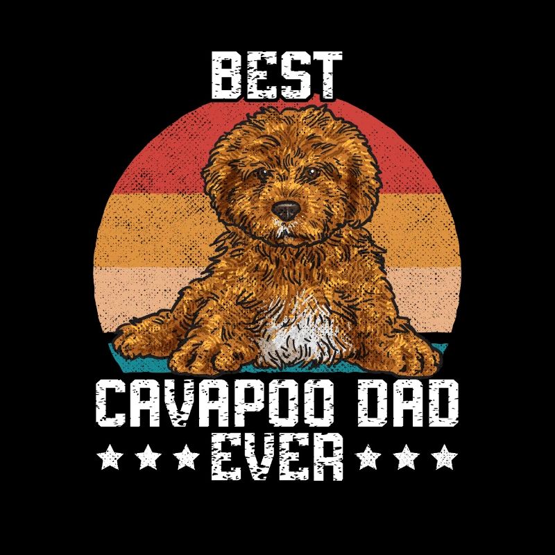 Cavapoo Cavoodle Capoodle Chien