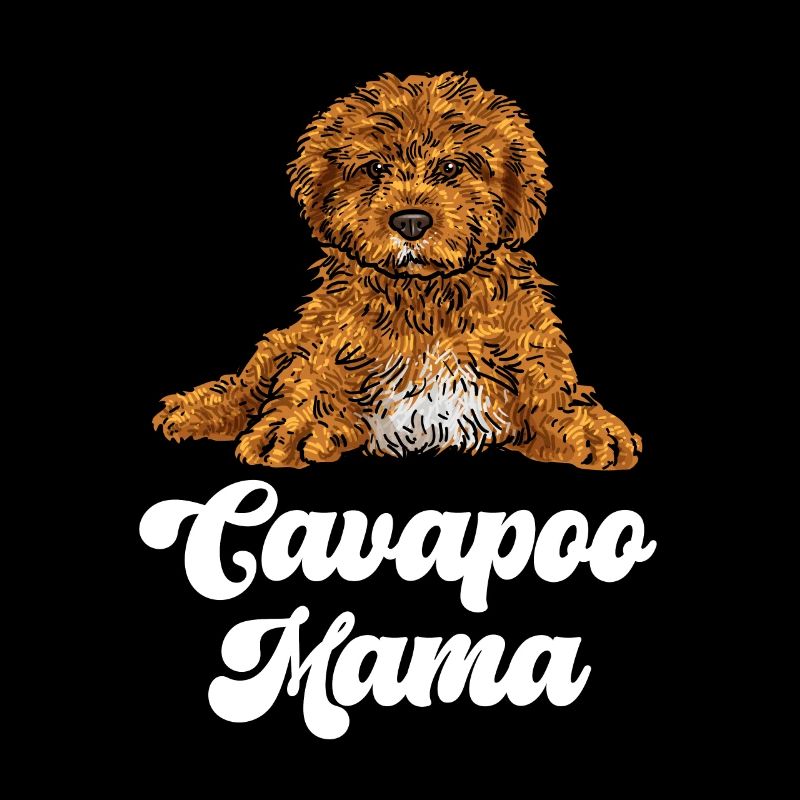 Cavapoo Cavoodle Capoodle Dog