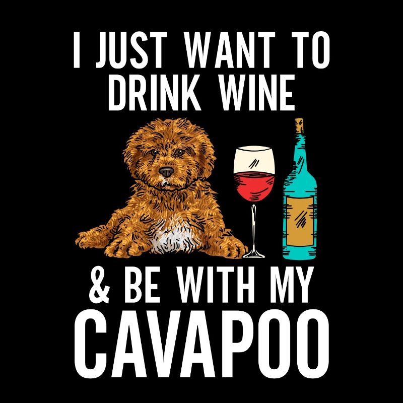 Cavapoo Cavoodle Capoodle Dog