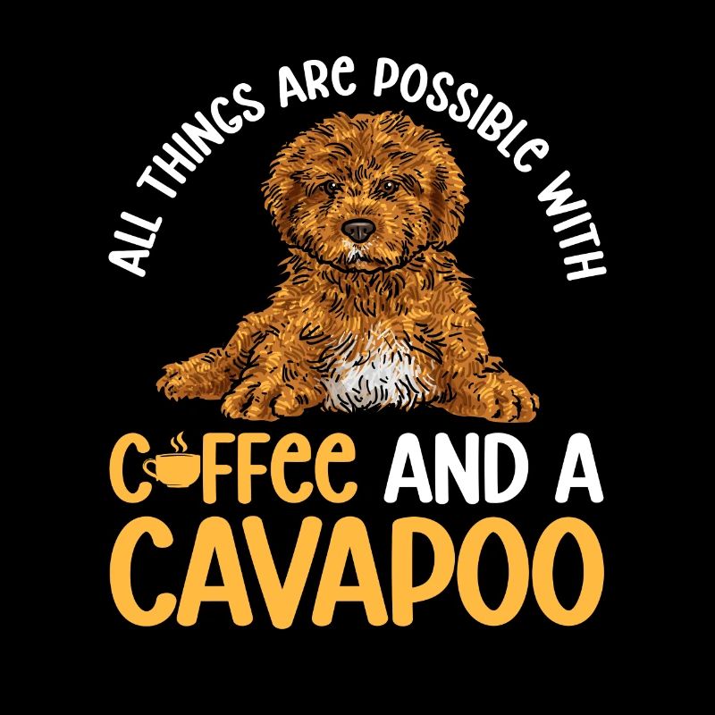 Cavapoo Cavoodle Capoodle Chien
