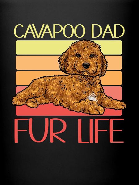 Cavapoo Cavoodle Capoodle Chien