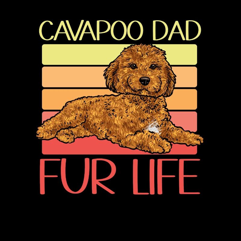 Cavapoo Cavoodle Capoodle Chien