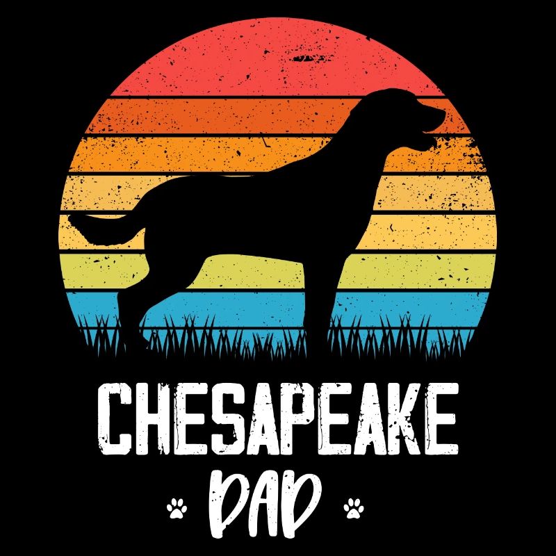 Chesapeake Bay Retriever