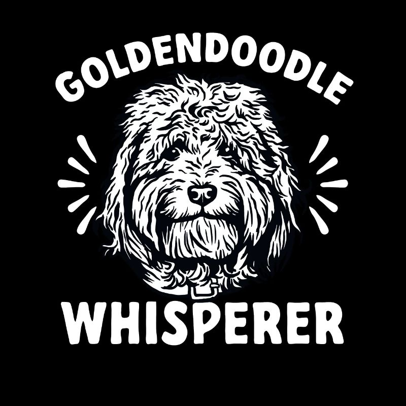 Goldendoodle Doodle Chien