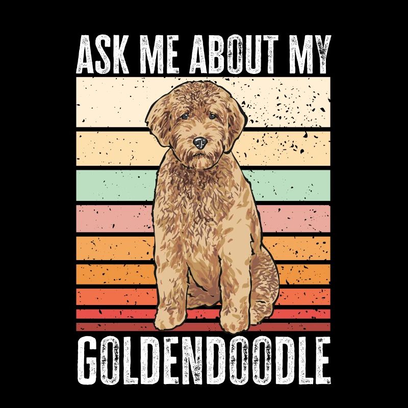 Goldendoodle Doodle Chien