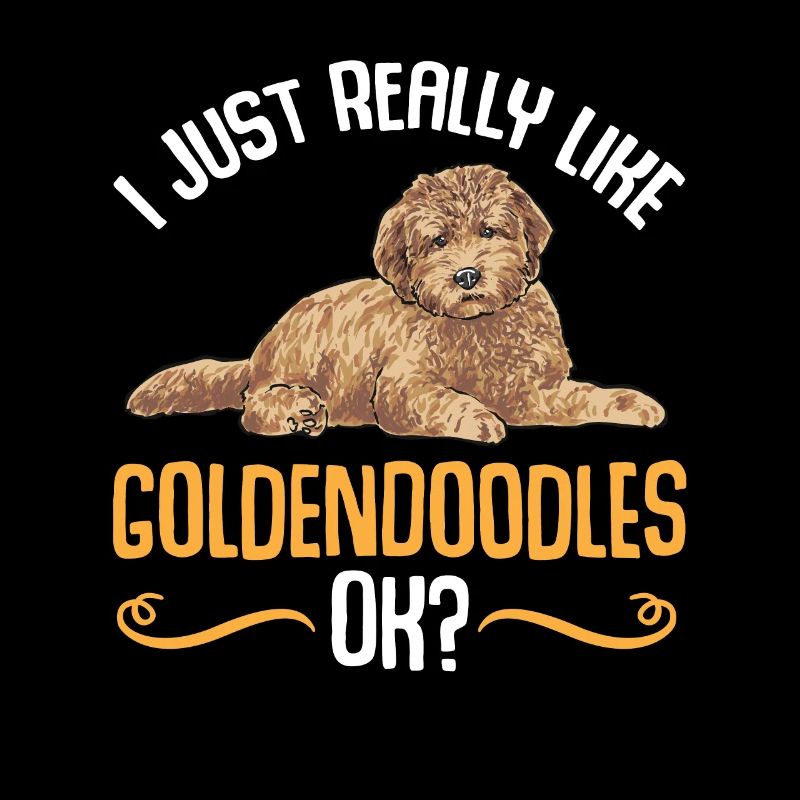 Goldendoodle Doodle Chien